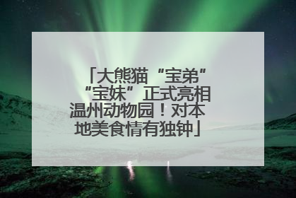 大熊猫“宝弟”“宝妹”正式亮相温州动物园！对本地美食情有独钟